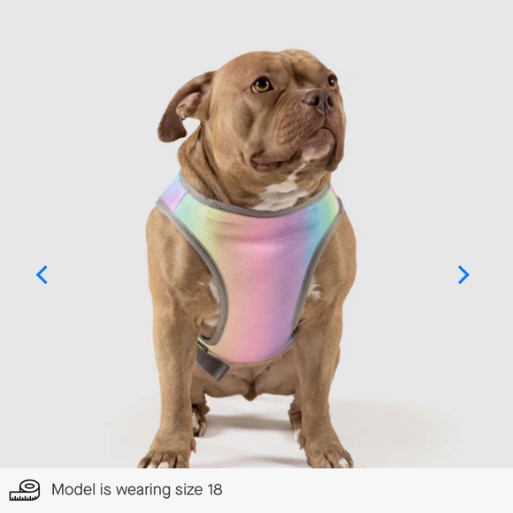 Canada Pooch Chill Seeker Cooling Vest - Rainbow - Size 16 - Picture 8 of 16